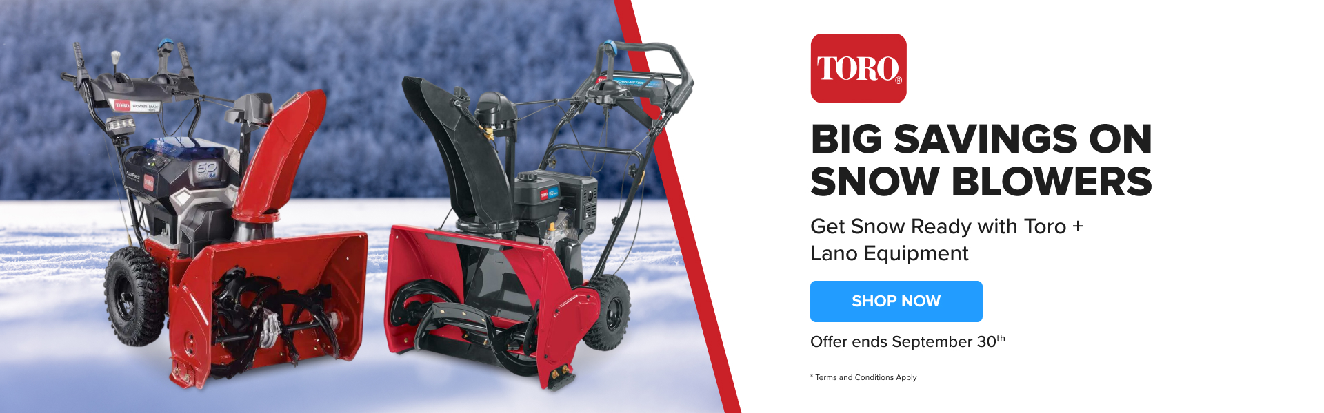 Up to $300 off Select Snowblowers
